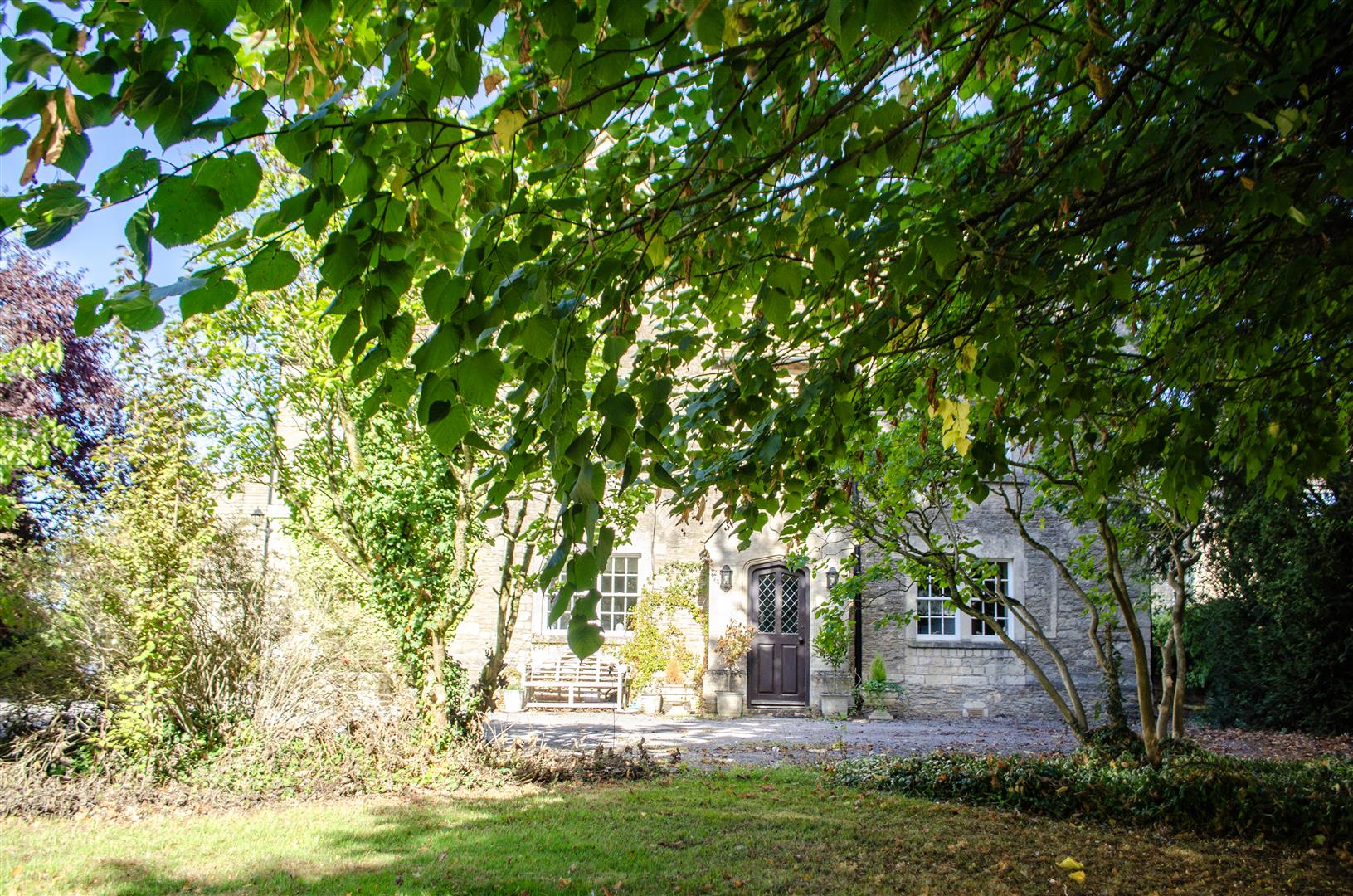 house trees.jpg